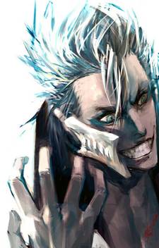 Athah Anime Bleach Grimmjow Jaegerjaquez 13 19 Inches Wall