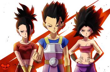 Athah Anime Dragon Ball Super Dragon Ball Kale Caulifla Cabe 13 19