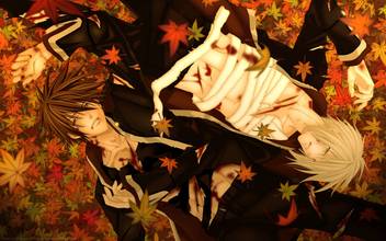 Get Wallpaper Athah Anime Hiiro No Kakera 13 19 Inches Wall Poster Matte Finish For iPhone