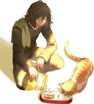 Athah Anime My Hero Academia Shouta Aizawa Cat 13 19 Inches Wall