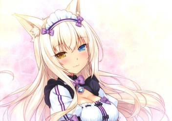 Get Wallpaper Athah Anime Nekopara Coconut Neko Heterochromia 13 19 Inches Wall Desktop Wallpaper Free