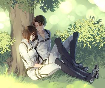 Athah Anime Attack On Titan Levi Ackerman Mikasa Ackerman 13 19
