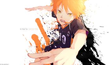 Athah Anime Haikyu Haikyuu Shōyō Hinata 13 19 Inches Wall