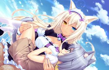 Athah Anime Nekopara Coconut Neko 13 19 Inches Wall Poster Matte