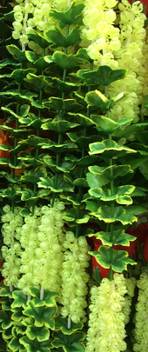 Onrr Garland Leaves Mogra Flower Design 65inches Long Packof5 Leaves Fabric Mogra Plastic Garland Price In India Buy Onrr Garland Leaves Mogra Flower Design 65inches Long Packof5 Leaves Fabric Mogra Plastic Garland Online At Flipkart Com Mogra na phool sakhi mogara phool. onrr garland leaves mogra flower design