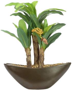 Shrih Artificial Banana Plant With Stylish Ceramic Vase Bonsai Artificial Plant With Pot Price In India Buy Shrih Artificial Banana Plant With Stylish Ceramic Vase Bonsai Artificial Plant With Pot Online