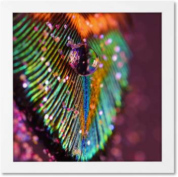Multicolor Peacock Feather Cute Designacrylic Single Wall Art