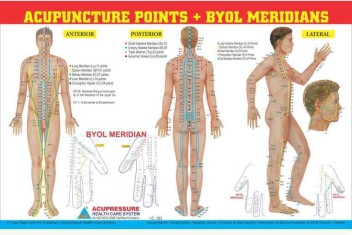Byol Meridian Chart In Sujok Therapy