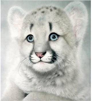 Forestime 5d Diy Diamond Painting Embroidery Cute Baby Tiger