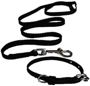 puppy collar and leash set