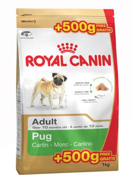 Royal Canin Pug Adult 1 Kg Dry Adult Dog Food Price In India Buy Royal Canin Pug Adult 1 Kg Dry Adult Dog Food Online At Flipkart Com
