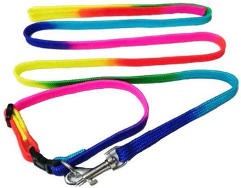 puppy collar leash