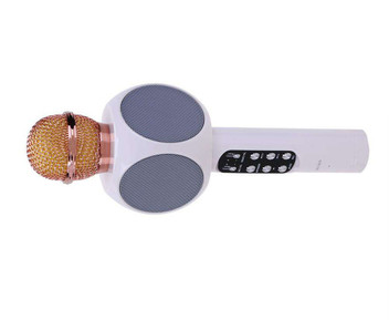 karaoke music system flipkart