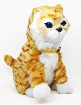 musical cat toy