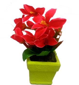 Get Wallpaper Ms Megaslim Most Attractive Artificial Fabric Mini Wandering Plant For Android Free