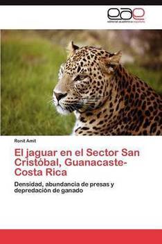 El Jaguar En El Sector San Cristobal Guanacaste Costa Rica Buy El Jaguar En El Sector San Cristobal Guanacaste Costa Rica By Amit Ronit At Low Price In India Flipkart Com