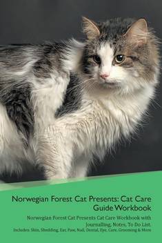 Norwegian Forest Cat Presents Buy Norwegian Forest Cat Presents
