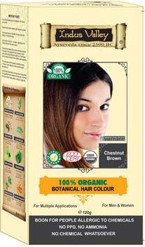 Indus Valley 100 Botanical Natural Healthier Hair Color Price