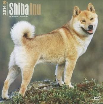 Shiba Inu 2014 Wall Calendar