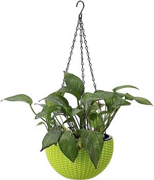 Antier Round Garden Plant With Chain Hanging Planters Basket Decor