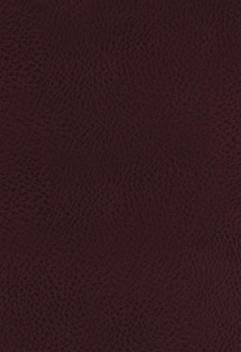 Kjv The King James Study Bible Bonded Leather Burgundy Thumb