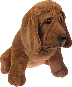 Dog accessories flipkart clearance
