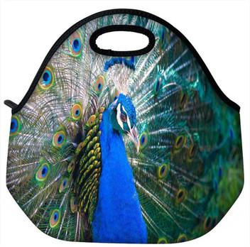 peacock lunch box