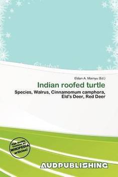 Indian Roofed Turtle Buy Indian Roofed Turtle By Unknown At Low Price In India Flipkart Com