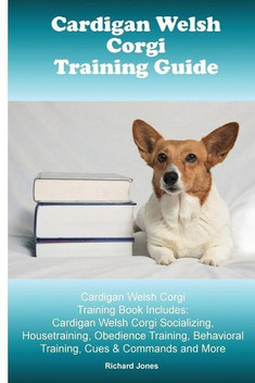 corgi guide