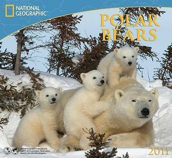 National Geographic Polar Bears