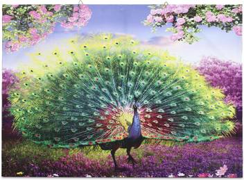 Skywalls Wooden Framed Beautiful Peacock Printed Ready To Hang