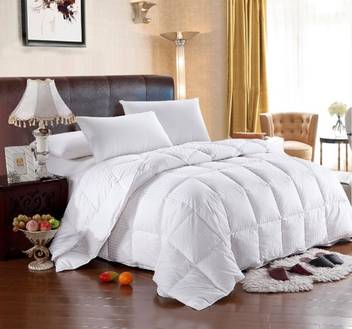 Blue Horse Solid Single Comforter Buy Blue Horse Solid Single