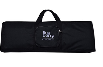 blueberry bags