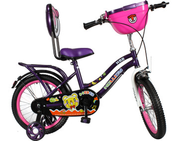 hollicy cycles