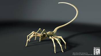 Ananyadesigns Wall Poster Movie Alien Creature Facehugger Paper Print Movies Posters In India Buy Art Film Design Movie Music Nature And Educational Paintings Wallpapers At Flipkart Com