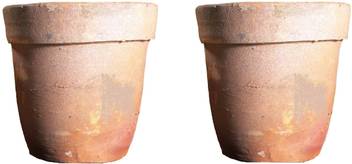 Orchidwala Mitti Pot I Clay Pot Hand Made Originated From Kolkata