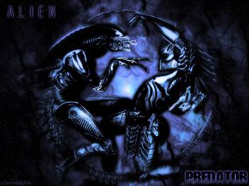 Movie Avp Alien Vs Predator Predator Alien Hd Wallpaper Background Paper Print Movies Posters In India Buy Art Film Design Movie Music Nature And Educational Paintings Wallpapers At Flipkart Com