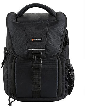 2 dslr camera bag