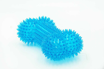 dog bone chew toy