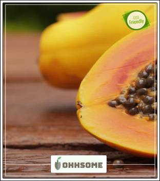 Ohhsome Papaya Seeds Originally From Southern Mexico Plant Seeds For Home Depot Bonsai Suitable Fruit Seeds Garden Pack Seed Price In India Buy Ohhsome Papaya Seeds Originally From Southern Mexico Plant