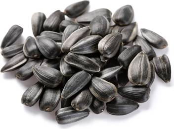 Kolkata Orchid Online Sunflower Seeds Black Oil Seeds For Planting Bird Feeding 400 Grams Good Quality Seed Price In India Buy Kolkata Orchid Online Sunflower Seeds Black