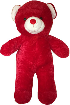 teddy 5ft