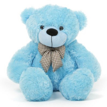 blue teddys