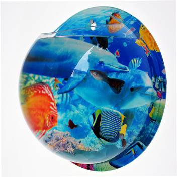 Sri Ocean Background Acrylic Wall Aquarium With Stone And Net For Fish And Plant Round Ends Aquarium Tank Price In India Buy Sri Ocean Background Acrylic Wall Aquarium With Stone And