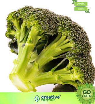 Creative Farmer Vegetable Seeds Edible Green Plant Seeds Broccoli Seeds Seeds For Farming Home Garden Seeds Seed Price In India Buy Creative Farmer Vegetable Seeds Edible Green Plant Seeds Here is the complete information on starting a goat farm in india.