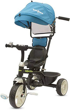 tricycle with push handle and seat belt