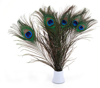 cheap decorative feathers