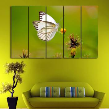Coloriffy Multiple Frames Beautiful Butterfly Wall Painting For