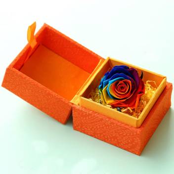 Ferns N Petals Rainbow Rose For Anniversary Valentine S Day Gifting In Orange Assorted Gift Box Price In India Buy Ferns N Petals Rainbow Rose For Anniversary Valentine S Day Gifting