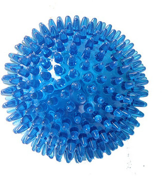 spiky dog ball
